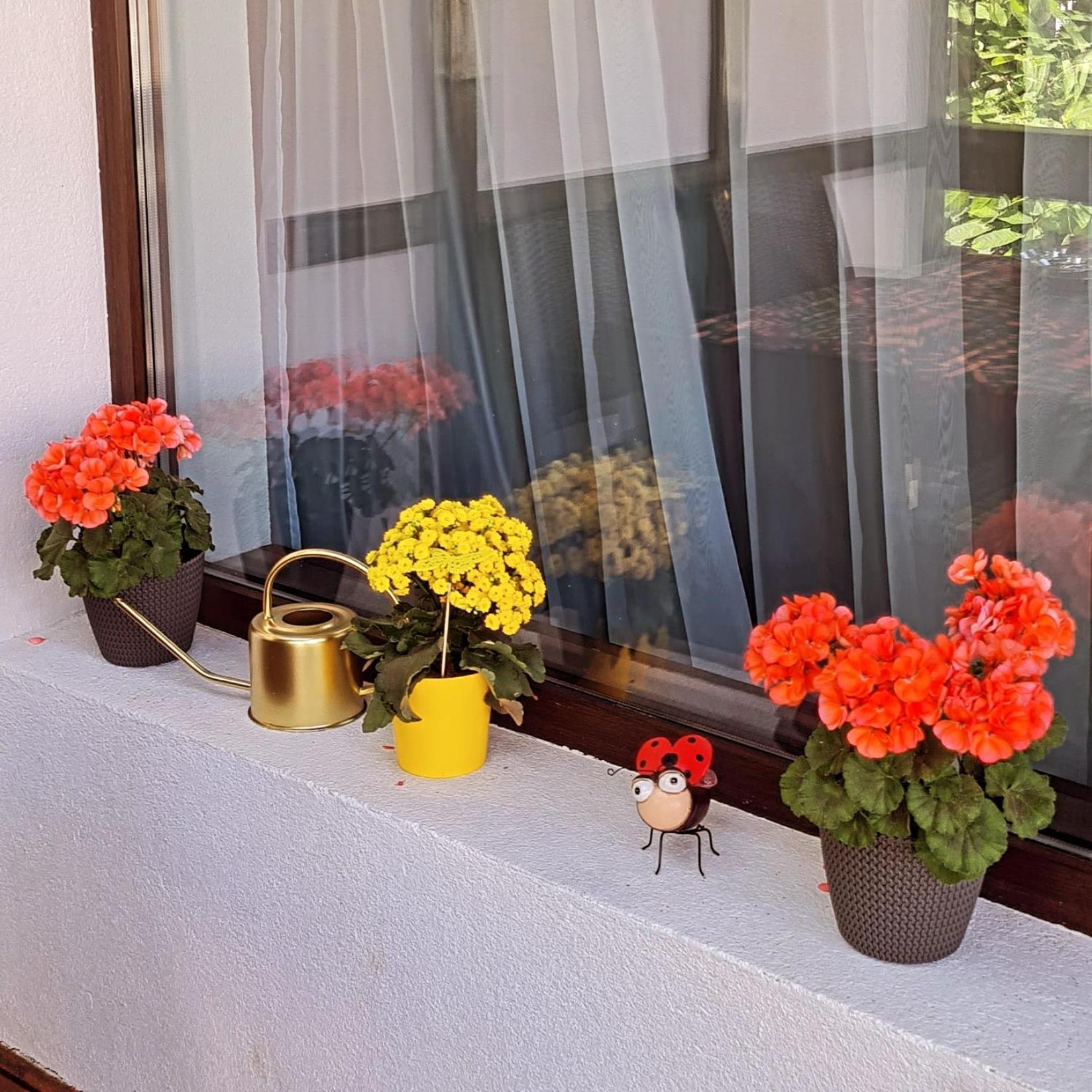 Casa Ama Villa Busteni Bagian luar foto